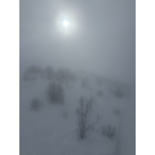 Picture France Praz sur Arly 2025-02 42 - Discovery Praz sur Arly
