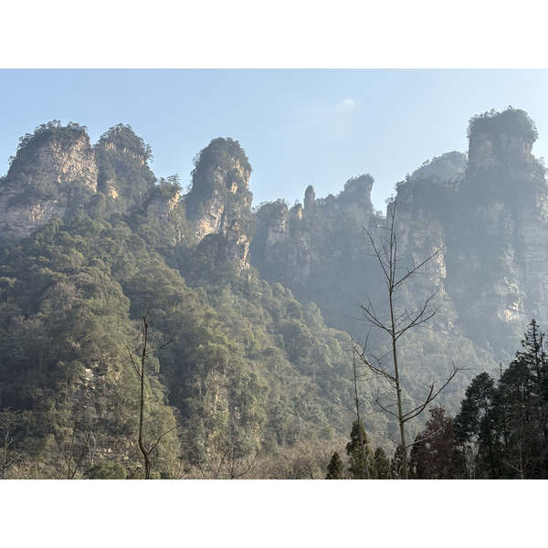 Picture China Zhangjiajie Tianzi Mountrain 2026-01 399 - Discovery Tianzi Mountrain