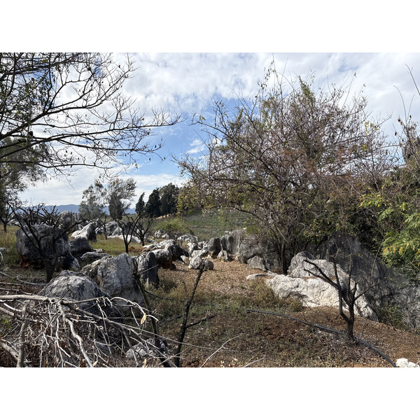 Picture China Shilin Stone Forest 2026-01 59 - Center Shilin Stone Forest