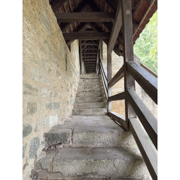 Picture Germany Rothenburg ob der Tauber⁩ 2025-09 77 - Recreation Rothenburg ob der Tauber⁩