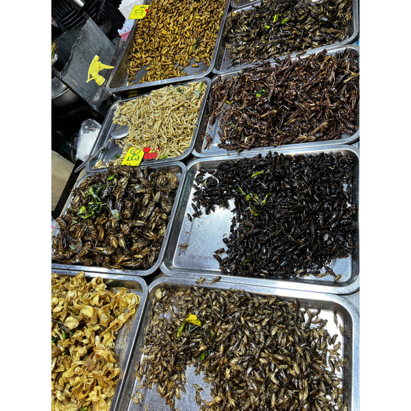 Picture Thailand Pattaya 2023-12 89 - History Pattaya
