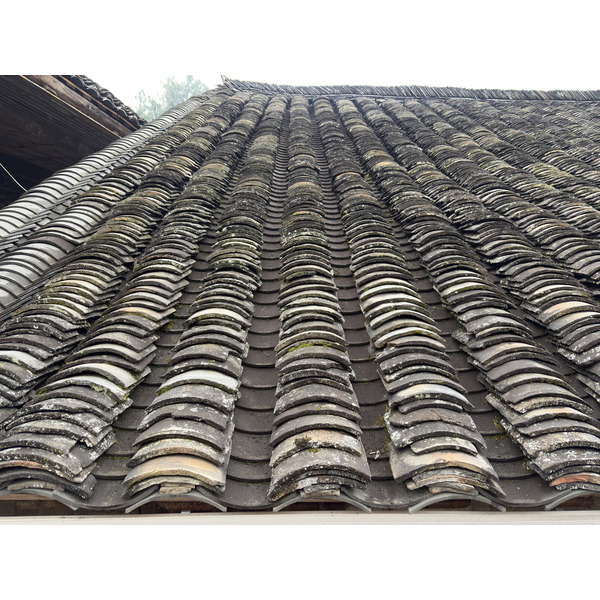 Picture China Furong Ancient Town 2026-01 102 - Around Furong Ancient Town