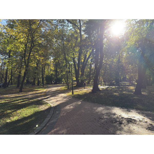 Picture Ukraine Lviv 2024-10 283 - Discovery Lviv
