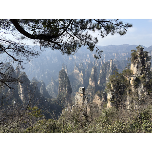 Picture China Zhangjiajie Tianzi Mountrain 2026-01 10 - Tours Tianzi Mountrain