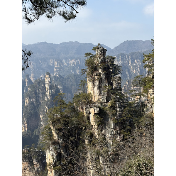 Picture China Zhangjiajie Tianzi Mountrain 2026-01 103 - Center Tianzi Mountrain