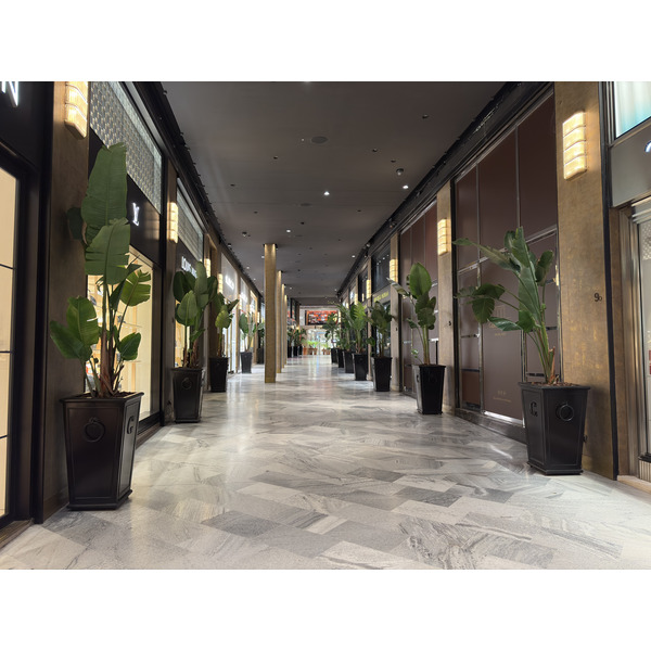 Picture Italy Bologna 2025-09 13 - Center Bologna