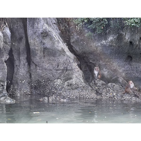 Picture Vietnam Ha Long Bay 2024-01 88 - Center Ha Long Bay
