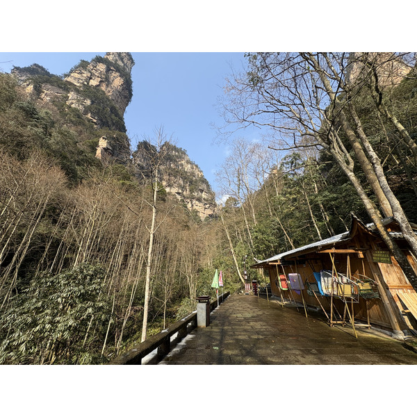 Picture China Zhangjiajie Tianzi Mountrain 2026-01 218 - Discovery Tianzi Mountrain