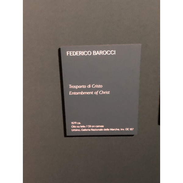 Picture Italy Urbino 2024-09 98 - Journey Urbino