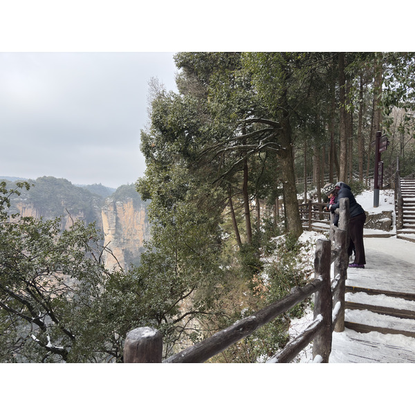 Picture China Zhangjiajie 2026-01 78 - Tours Zhangjiajie