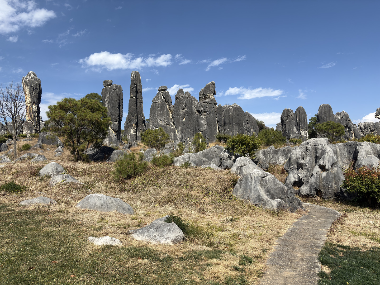 Picture China Shilin Stone Forest 2026-01 206 - Visit Shilin Stone Forest