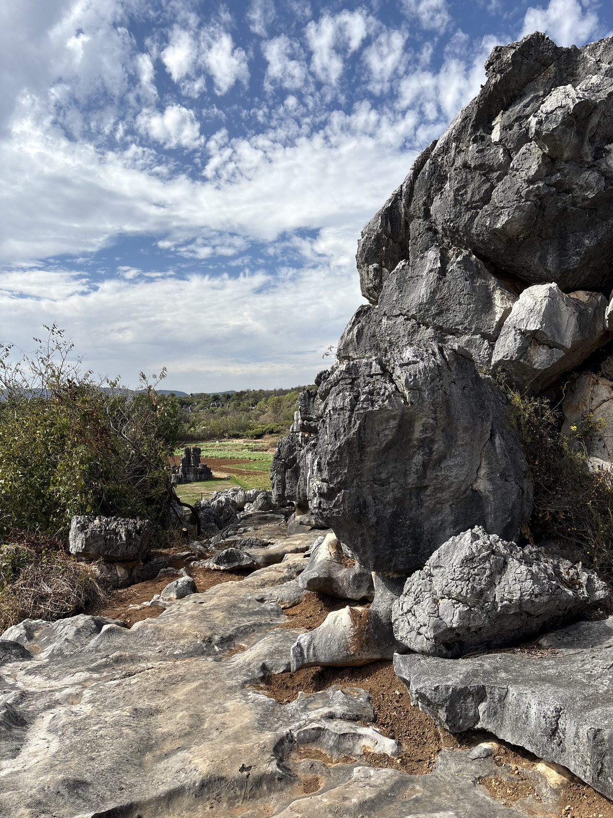 Picture China Shilin Stone Forest 2026-01 275 - Store Shilin Stone Forest