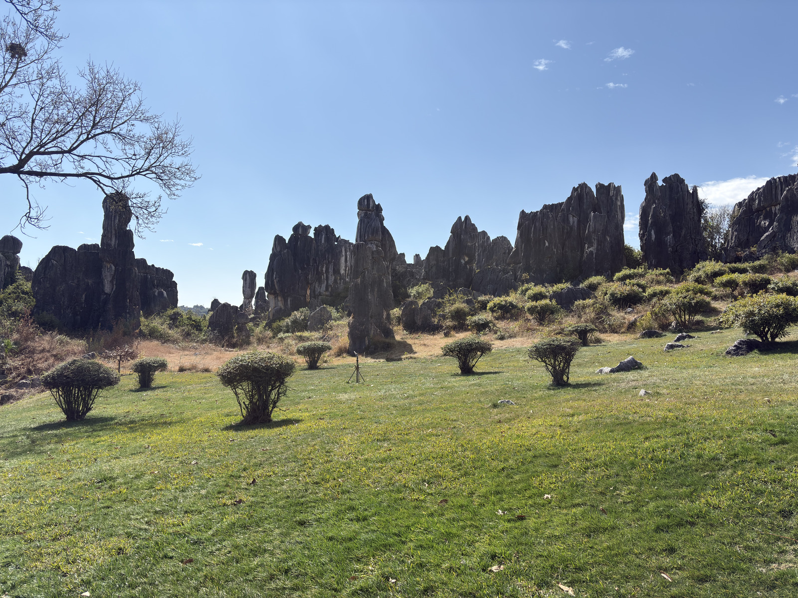 Picture China Shilin Stone Forest 2026-01 131 - Sightseeing Shilin Stone Forest