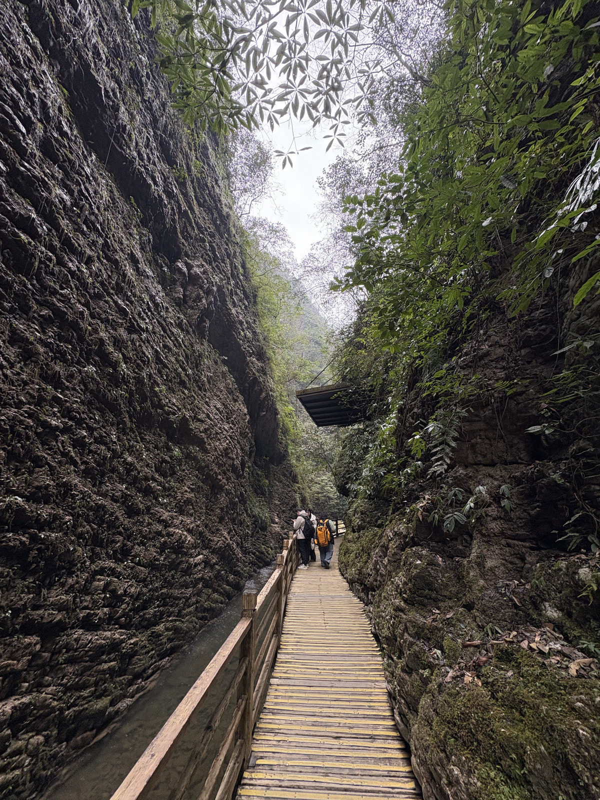 Picture China Zhangjiajie Grand Canion 2026-01 10 - Pictures Grand Canion