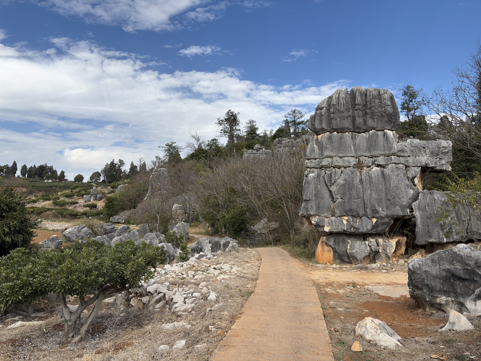 Picture China Shilin Stone Forest 2026-01 334 - Trips Shilin Stone Forest
