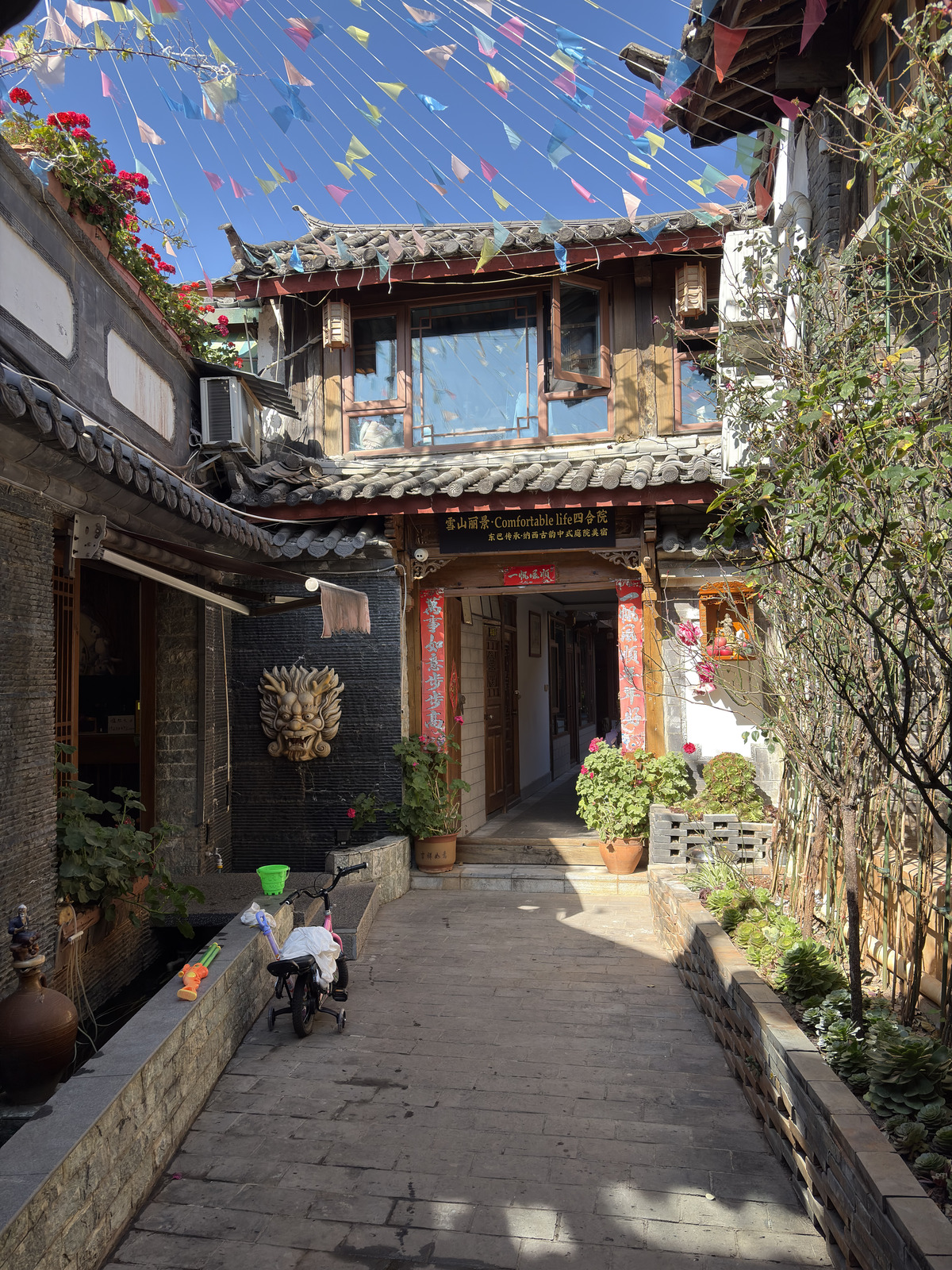 Picture China Lijiang 2026-01 843 - Photographer Lijiang