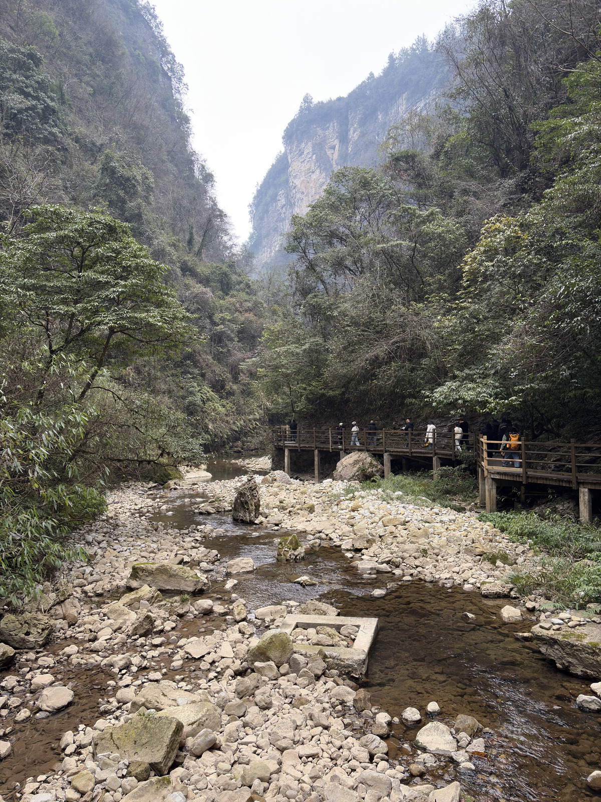 Picture China Zhangjiajie Grand Canion 2026-01 45 - Sightseeing Grand Canion