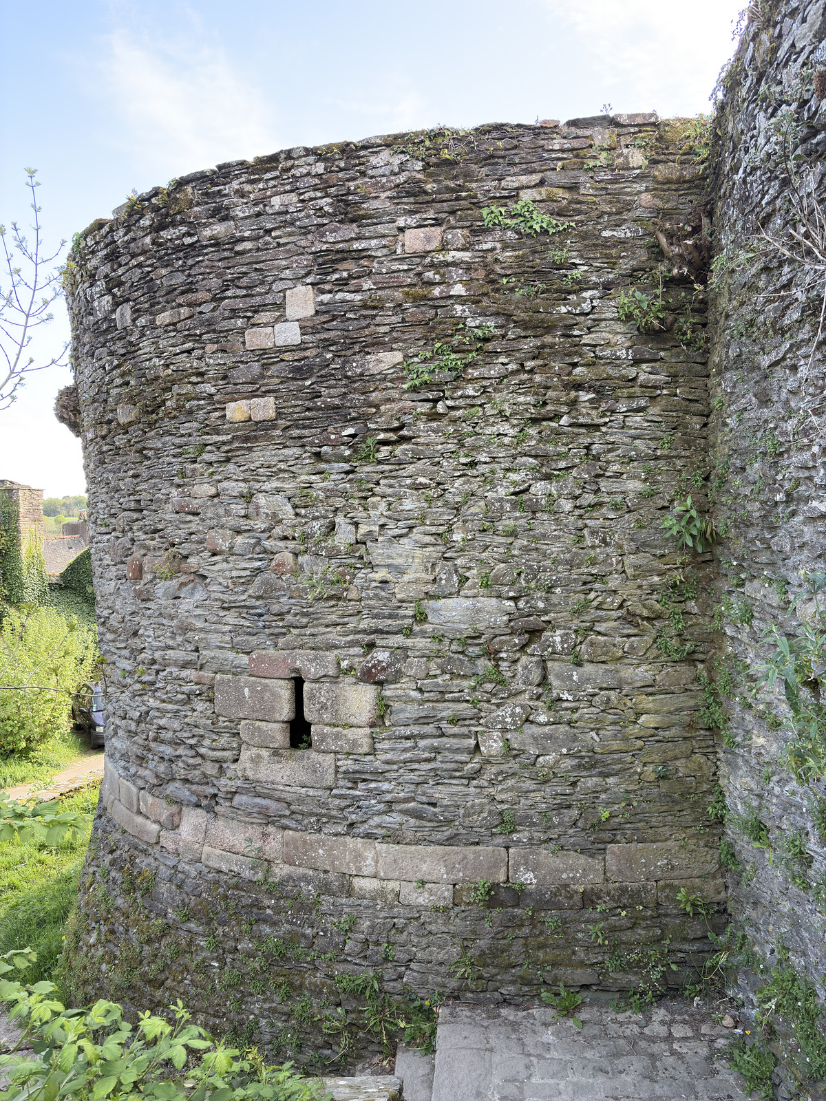 Picture France Rochefort en terre 2026-04 46