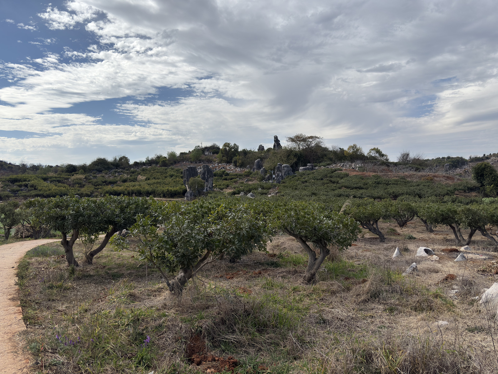Picture China Shilin Stone Forest 2026-01 293 - Photo Shilin Stone Forest