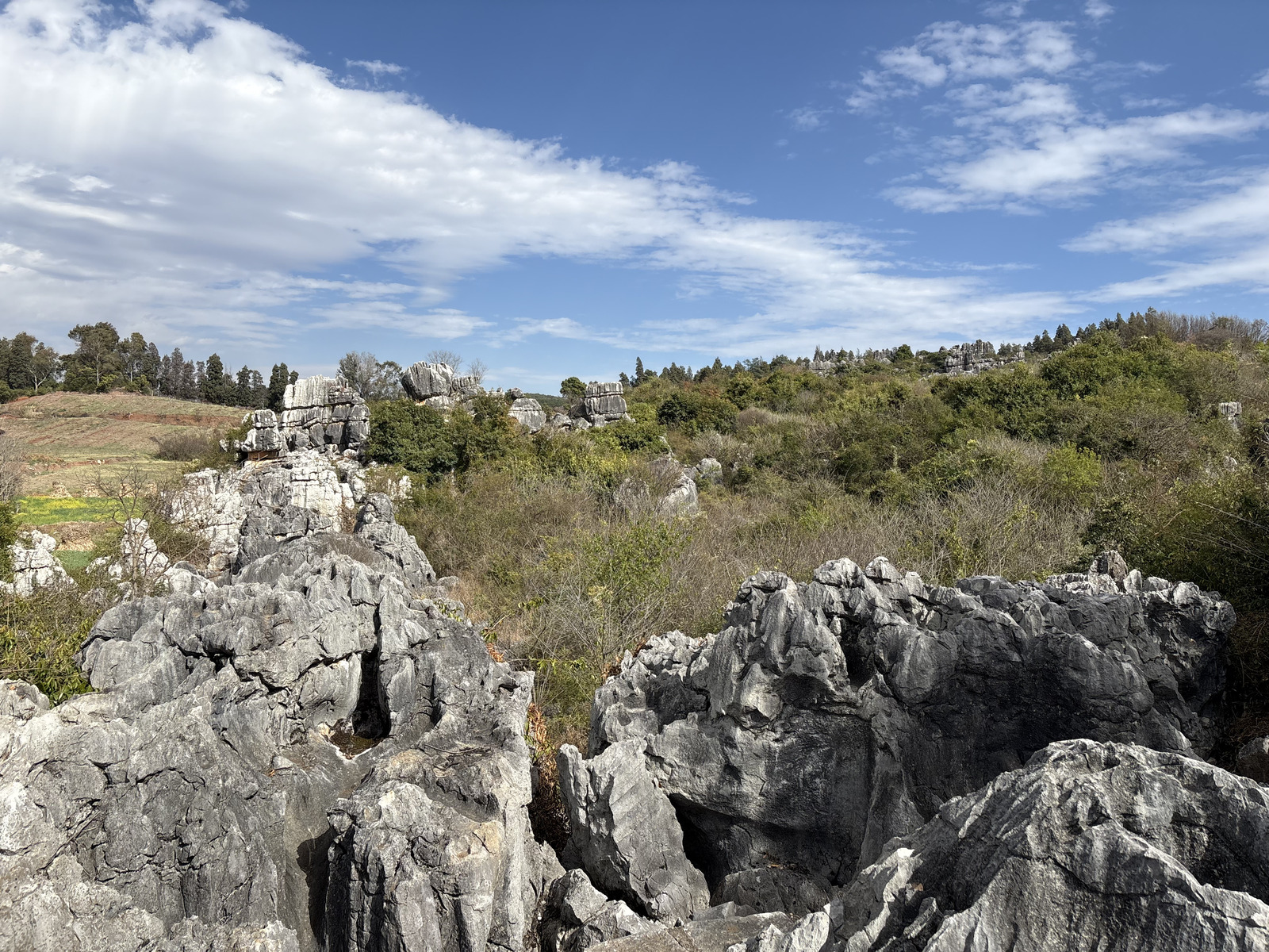 Picture China Shilin Stone Forest 2026-01 81 - Discover Shilin Stone Forest