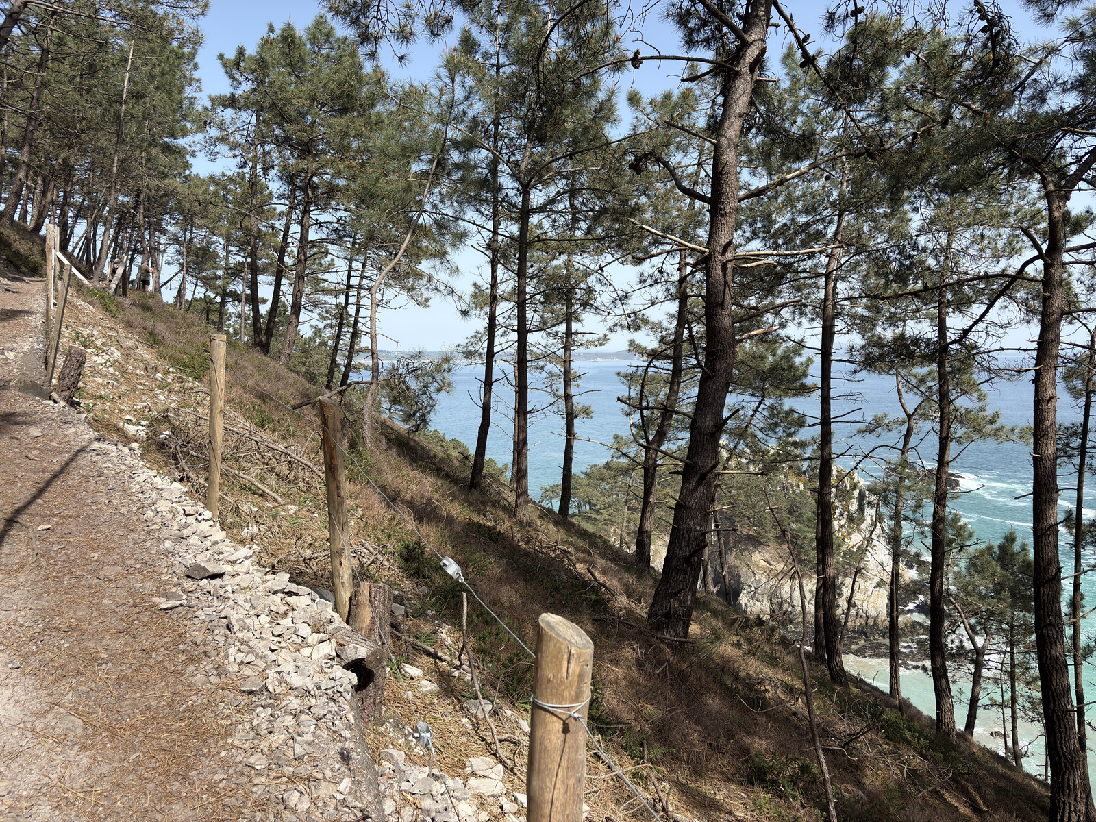 Picture France Crozon Ile Vierge Beach 2026-04 56 - Travel Ile Vierge Beach