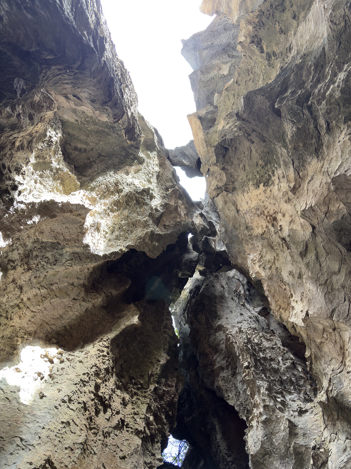 Picture China Shilin Stone Forest 2026-01 368 - Journey Shilin Stone Forest