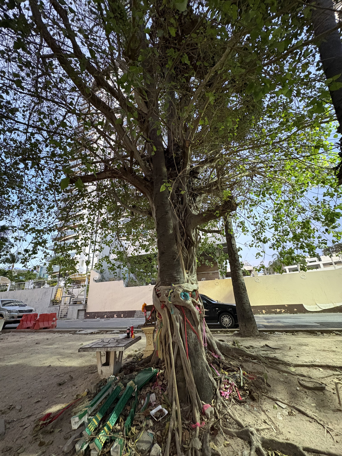 Picture Thailand Pattaya Dongtan beach 2025-12 34 - Perspective Dongtan beach