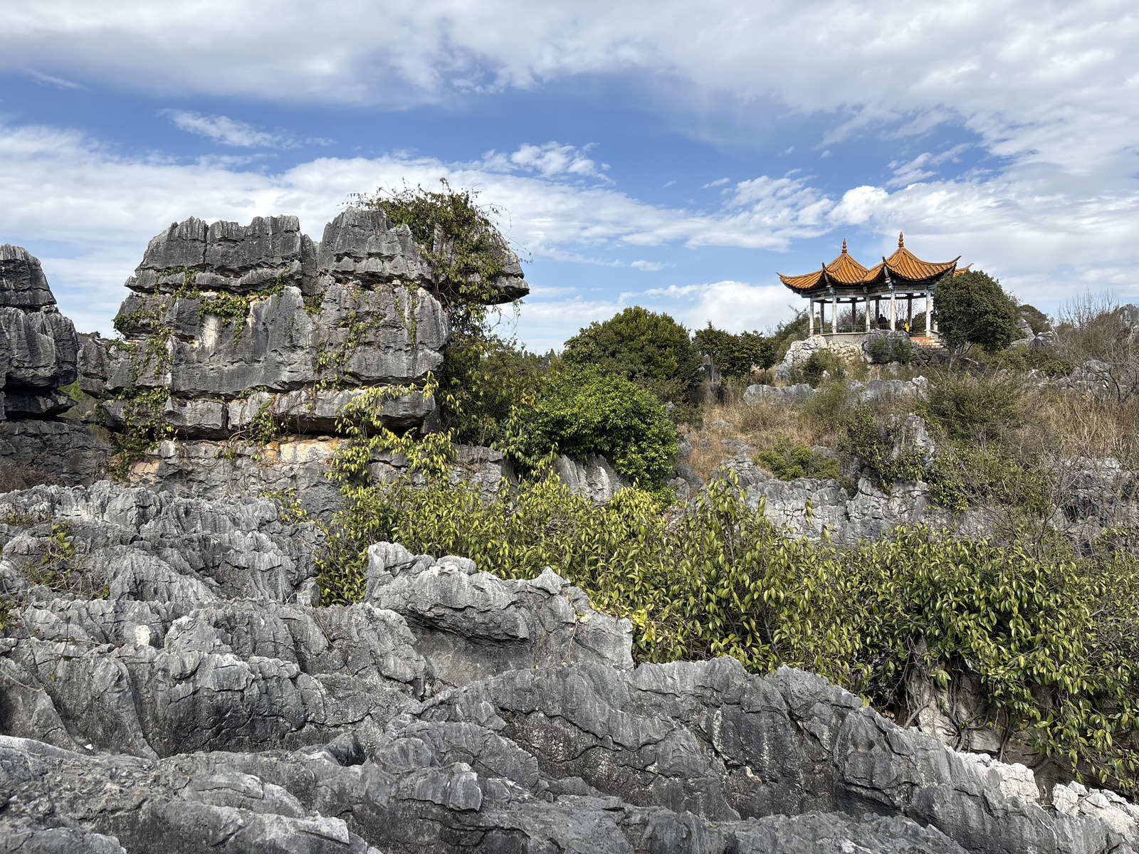 Picture China Shilin Stone Forest 2026-01 122 - View Shilin Stone Forest