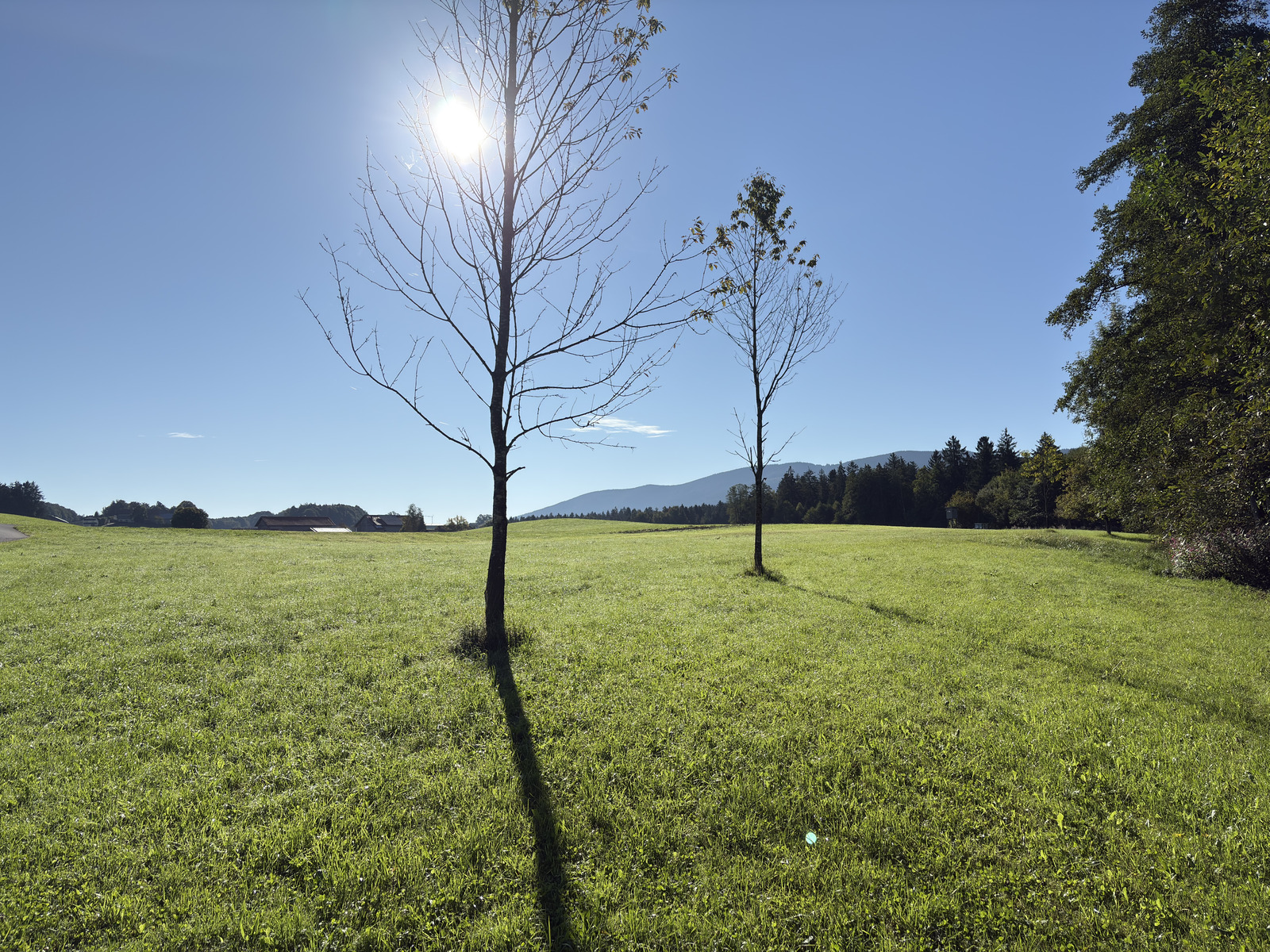 Picture Germany Surberg 2025-09 9 - Randonee Surberg