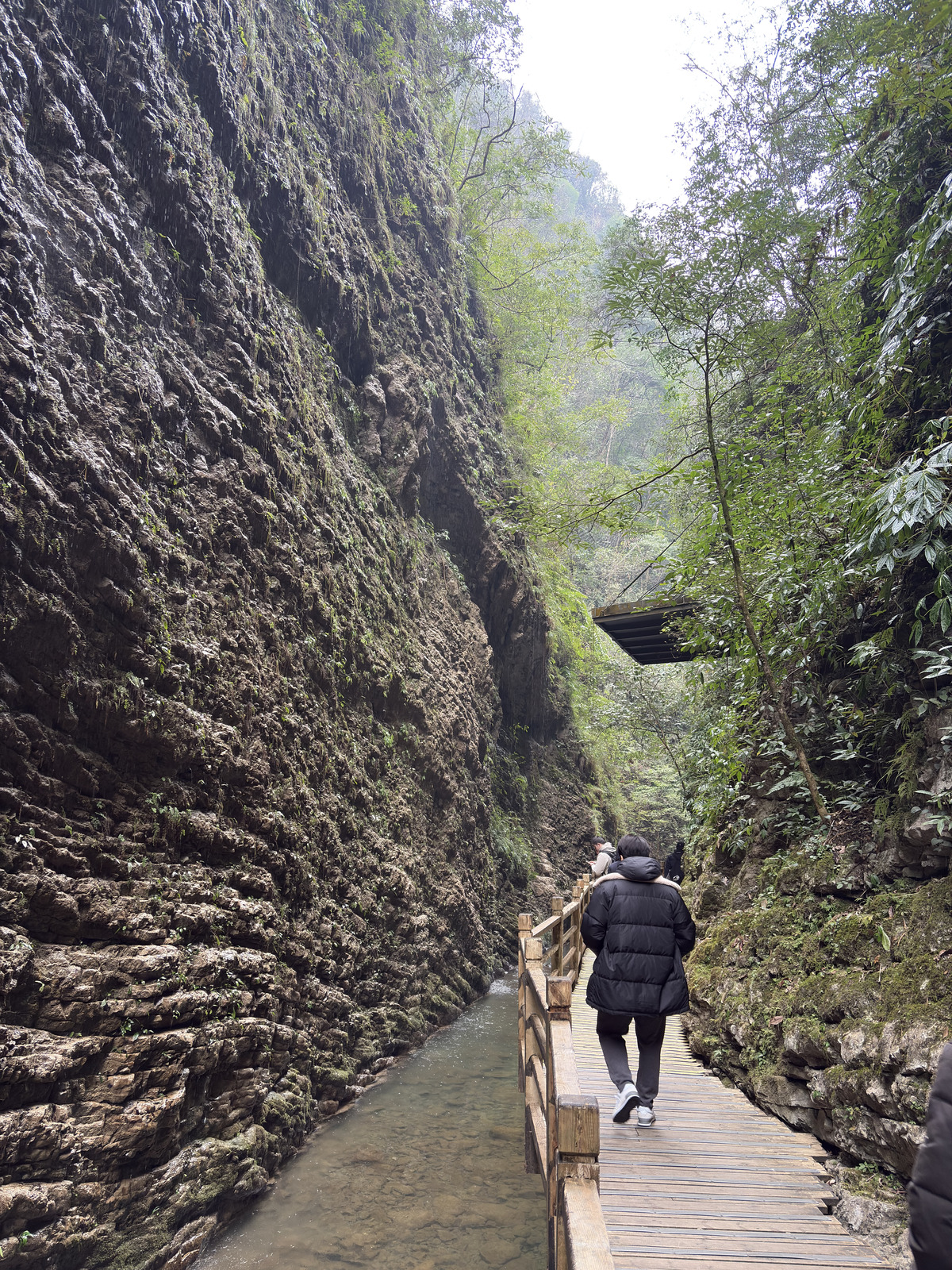 Picture China Zhangjiajie Grand Canion 2026-01 43 - Travels Grand Canion