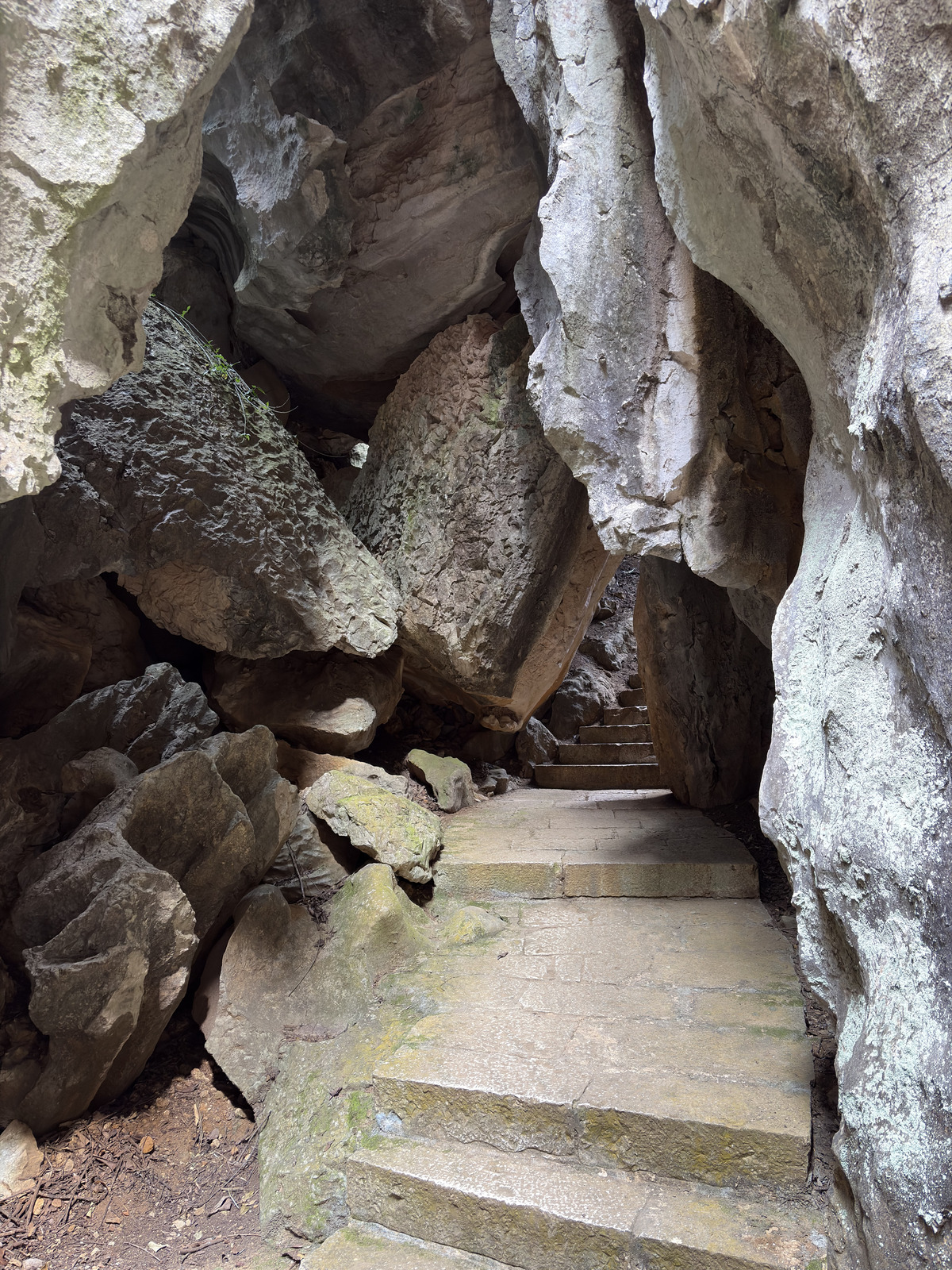 Picture China Shilin Stone Forest 2026-01 42 - Sightseeing Shilin Stone Forest