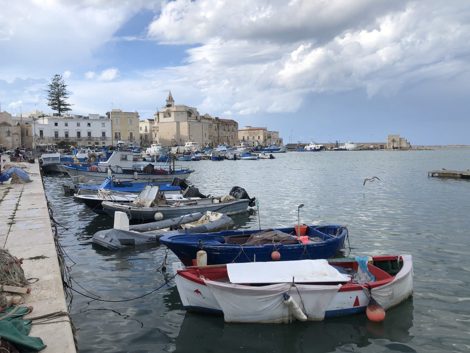 Picture Italy Trani 2024-09 105 - Randonee Trani