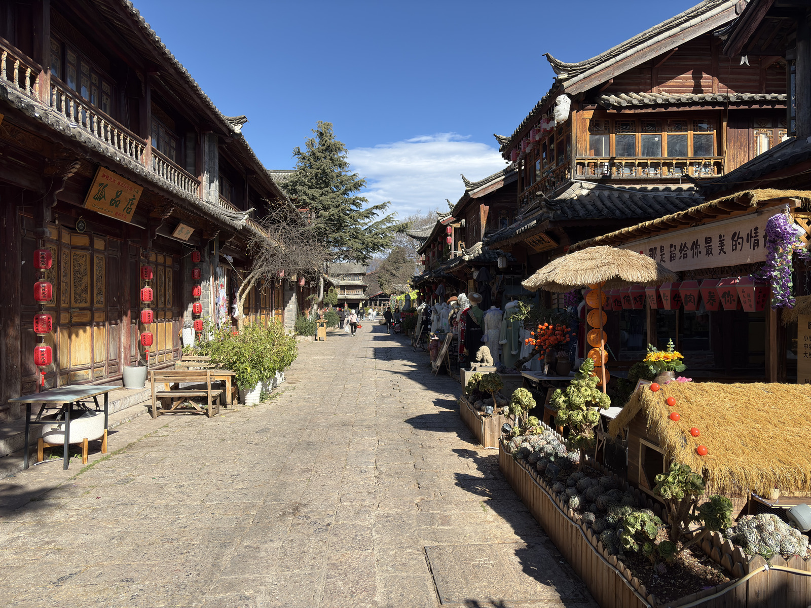 Picture China Lijiang 2026-01 115 - Tourist Attraction Lijiang
