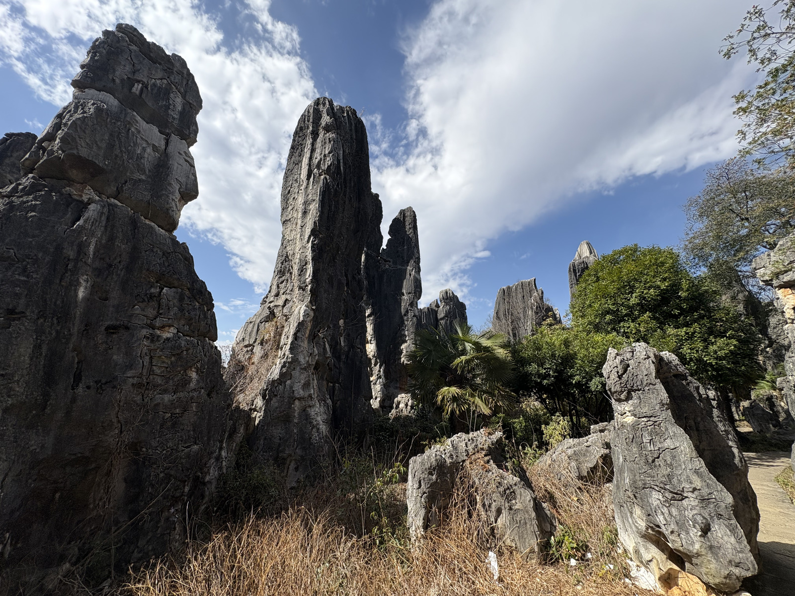 Picture China Shilin Stone Forest 2026-01 222 - Photographer Shilin Stone Forest