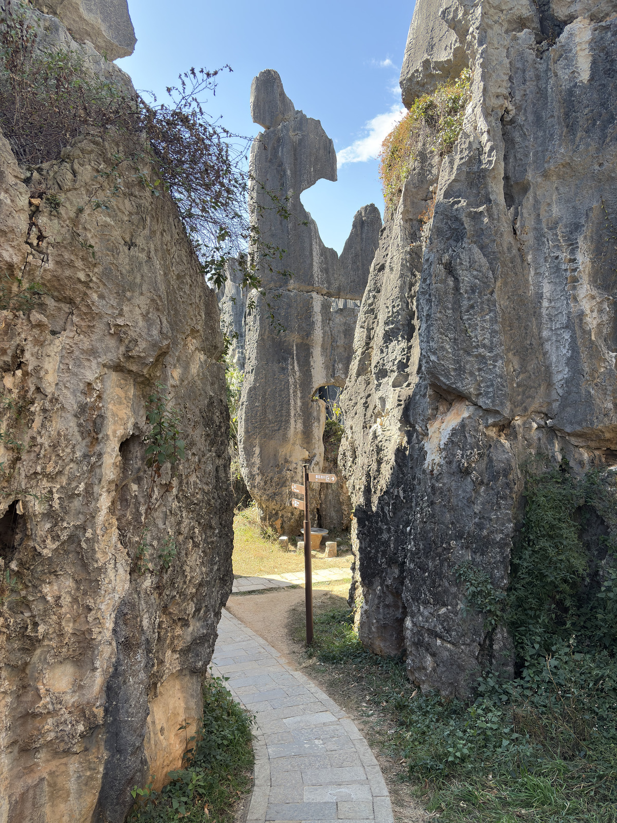 Picture China Shilin Stone Forest 2026-01 76 - Journey Shilin Stone Forest