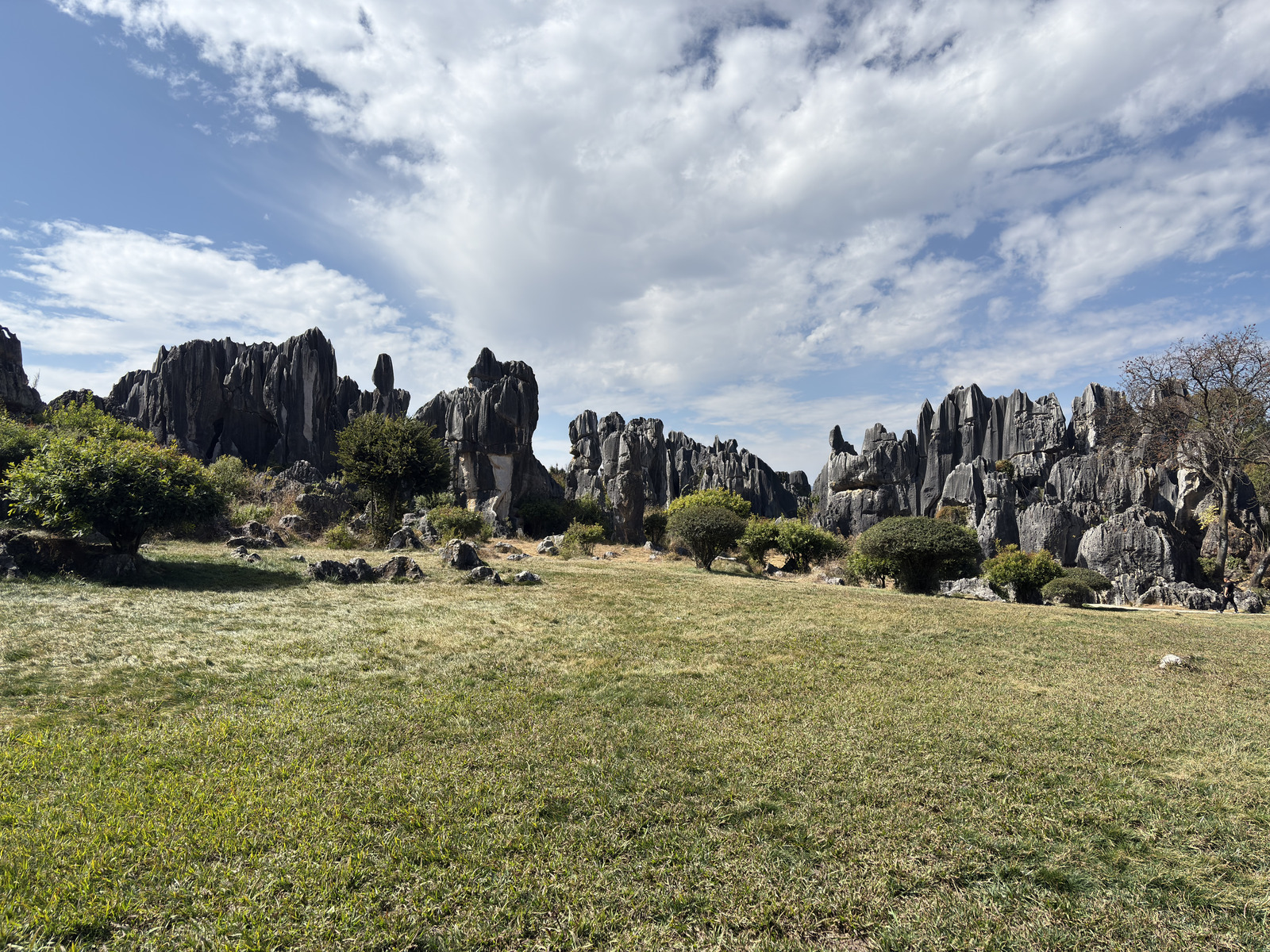 Picture China Shilin Stone Forest 2026-01 384 - Photographers Shilin Stone Forest
