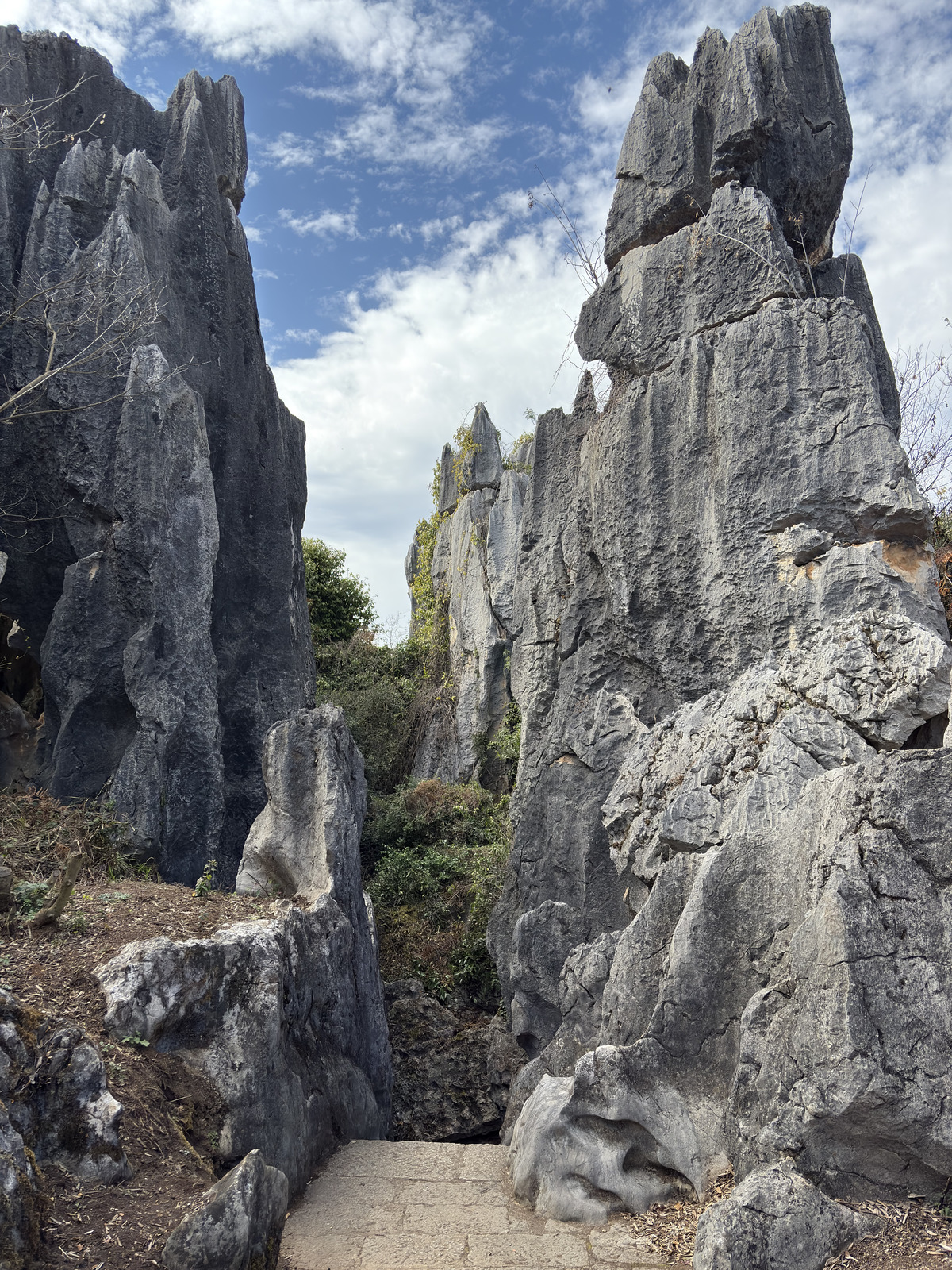 Picture China Shilin Stone Forest 2026-01 112 - Picture Shilin Stone Forest