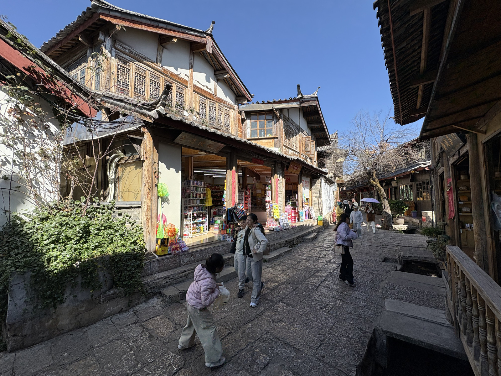 Picture China Lijiang 2026-01 408 - Visit Lijiang
