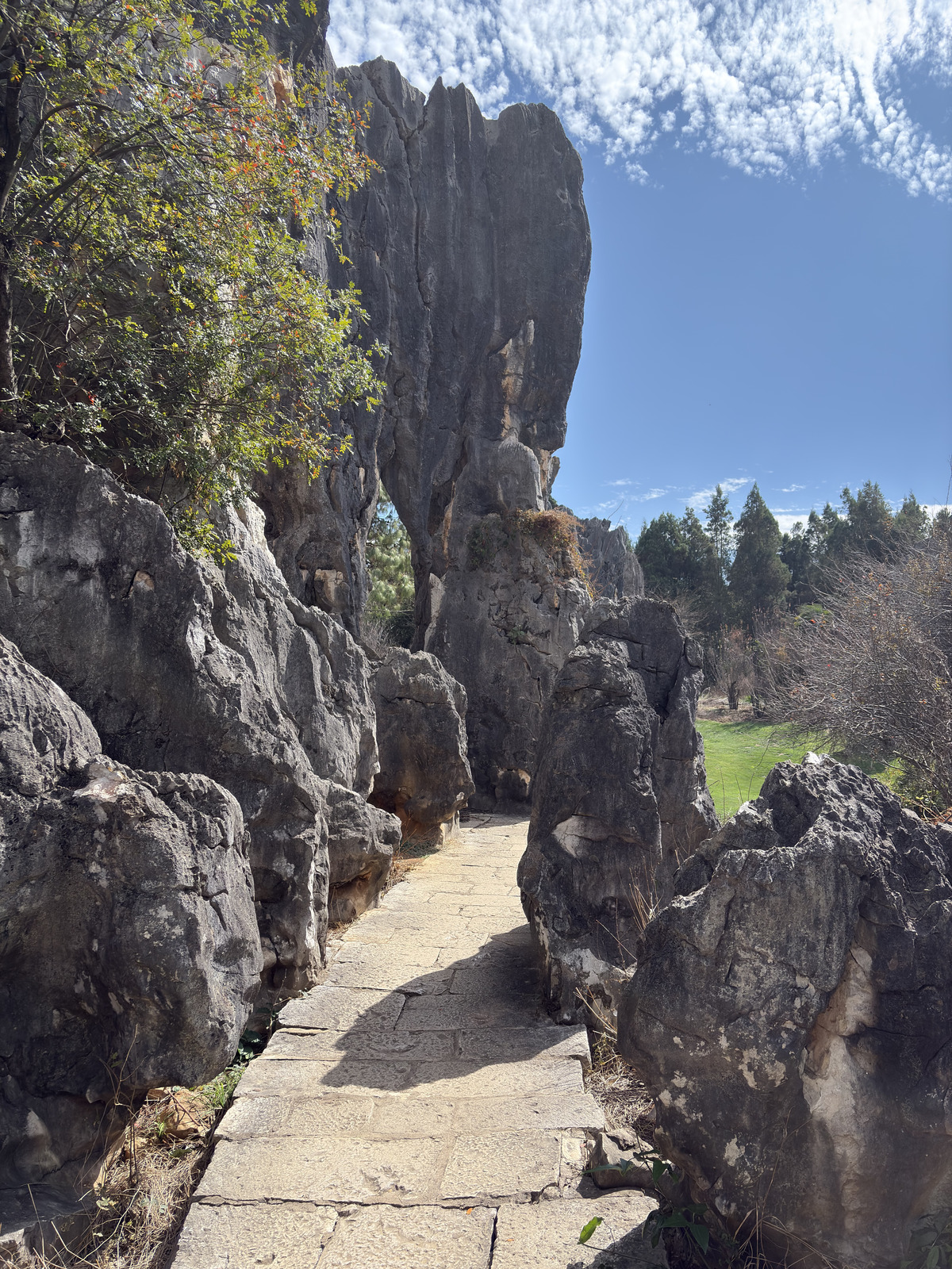 Picture China Shilin Stone Forest 2026-01 278 - Photos Shilin Stone Forest