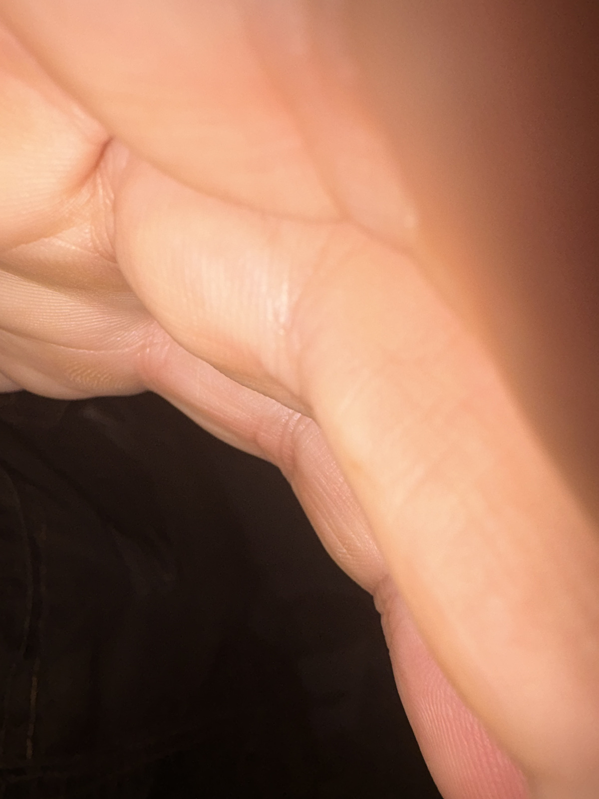 Picture Poland Krakow Wawel castle 2026-09 151
