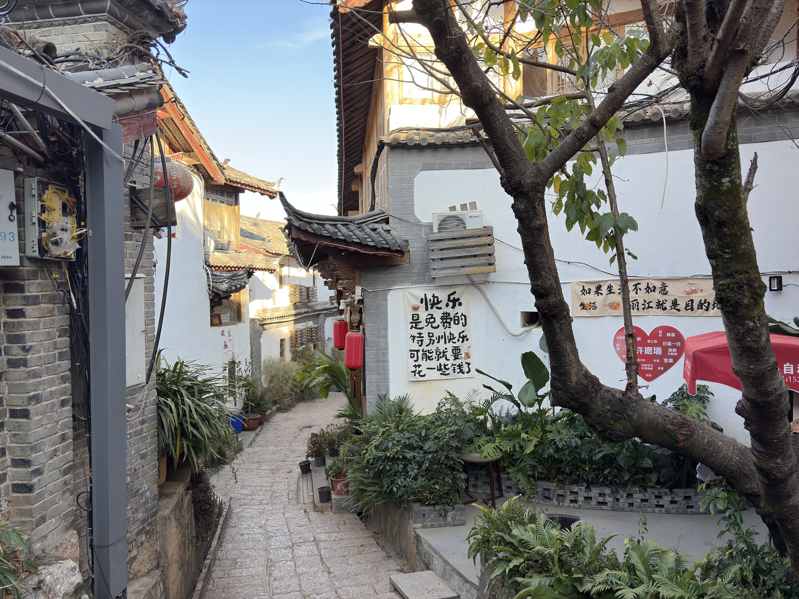 Picture China Lijiang 2026-01 15 - Flights Lijiang