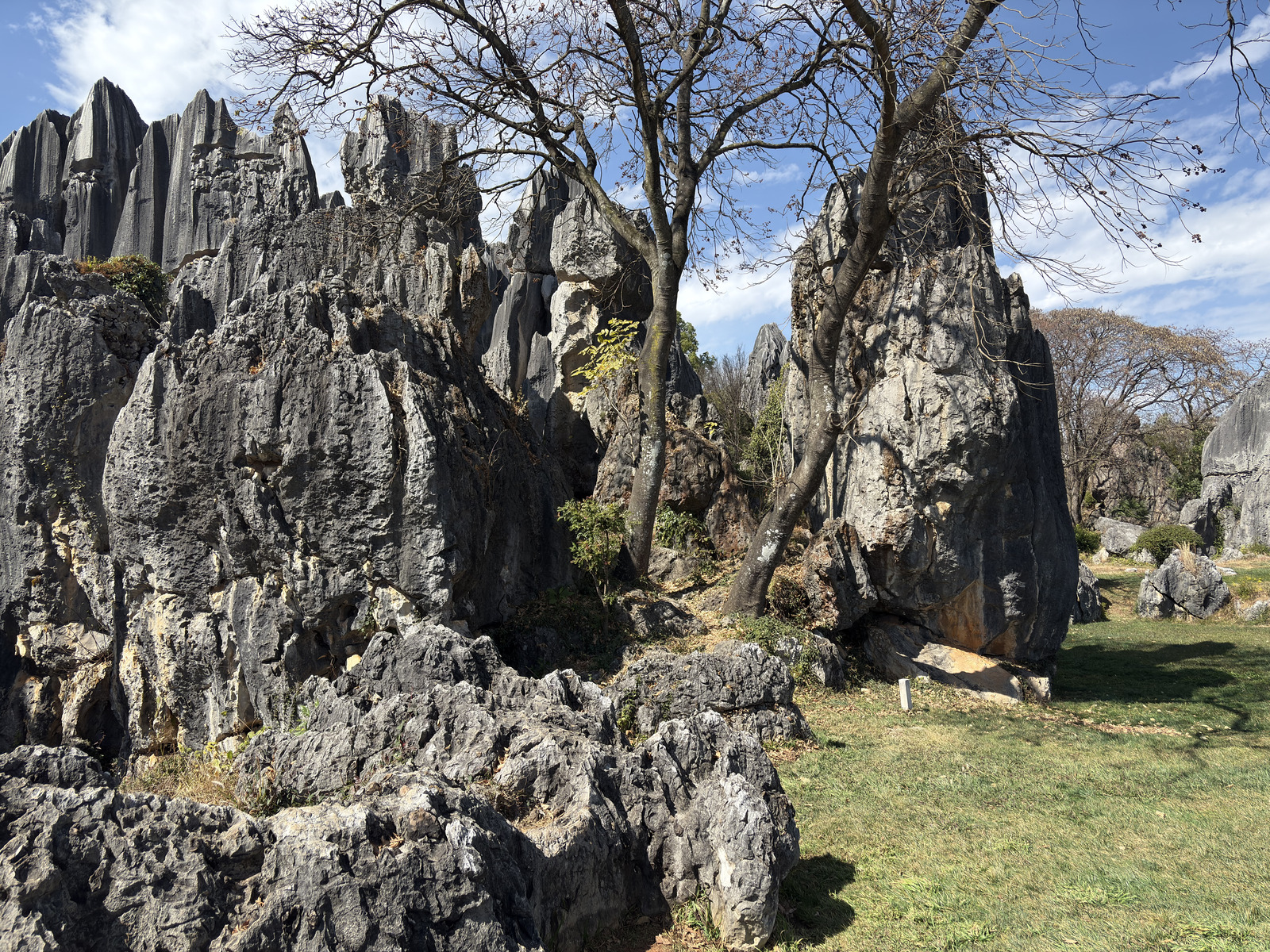 Picture China Shilin Stone Forest 2026-01 388 - Journey Shilin Stone Forest
