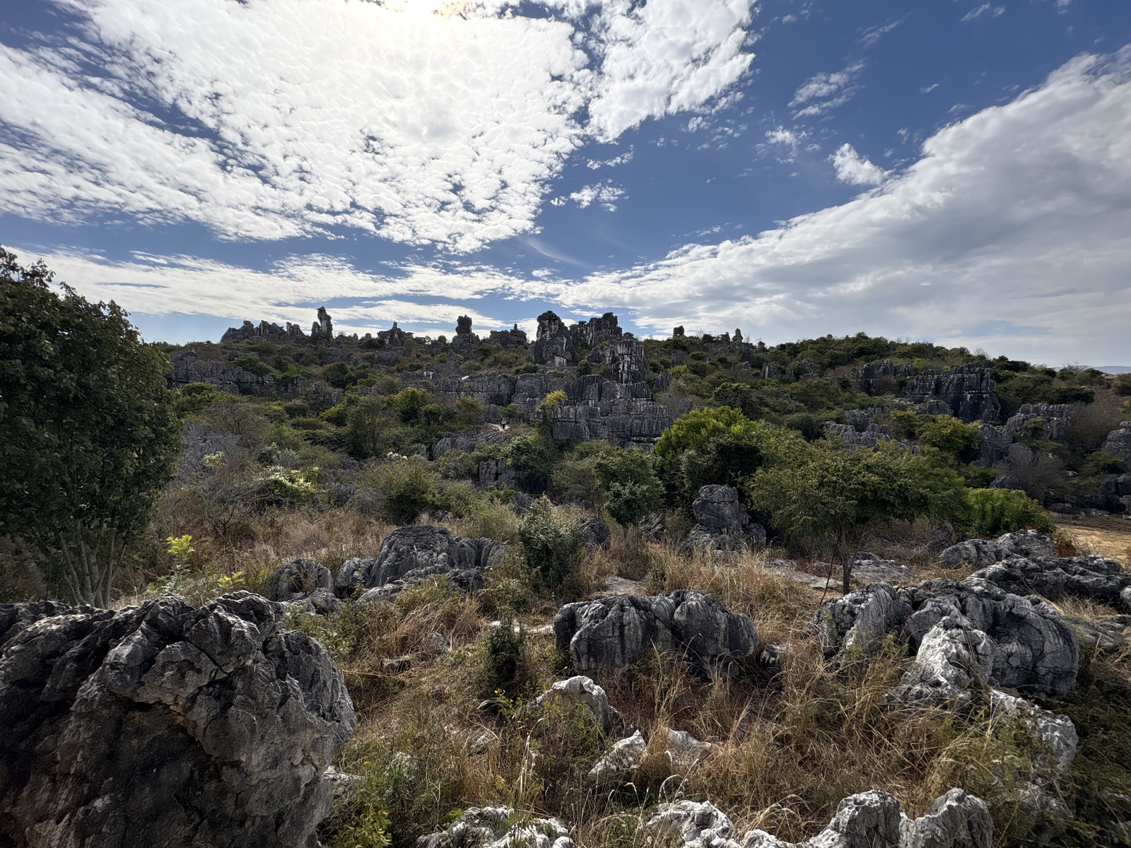 Picture China Shilin Stone Forest 2026-01 379 - Sightseeing Shilin Stone Forest