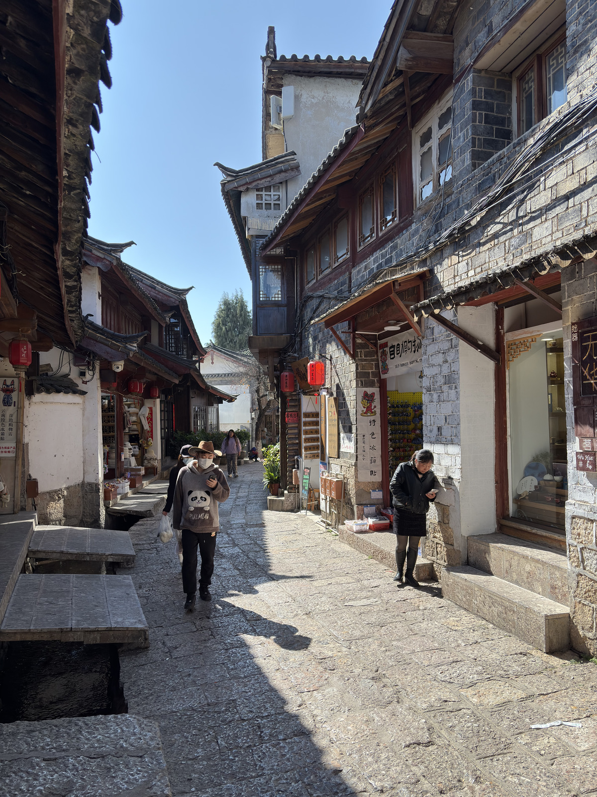 Picture China Lijiang 2026-01 795 - Picture Lijiang