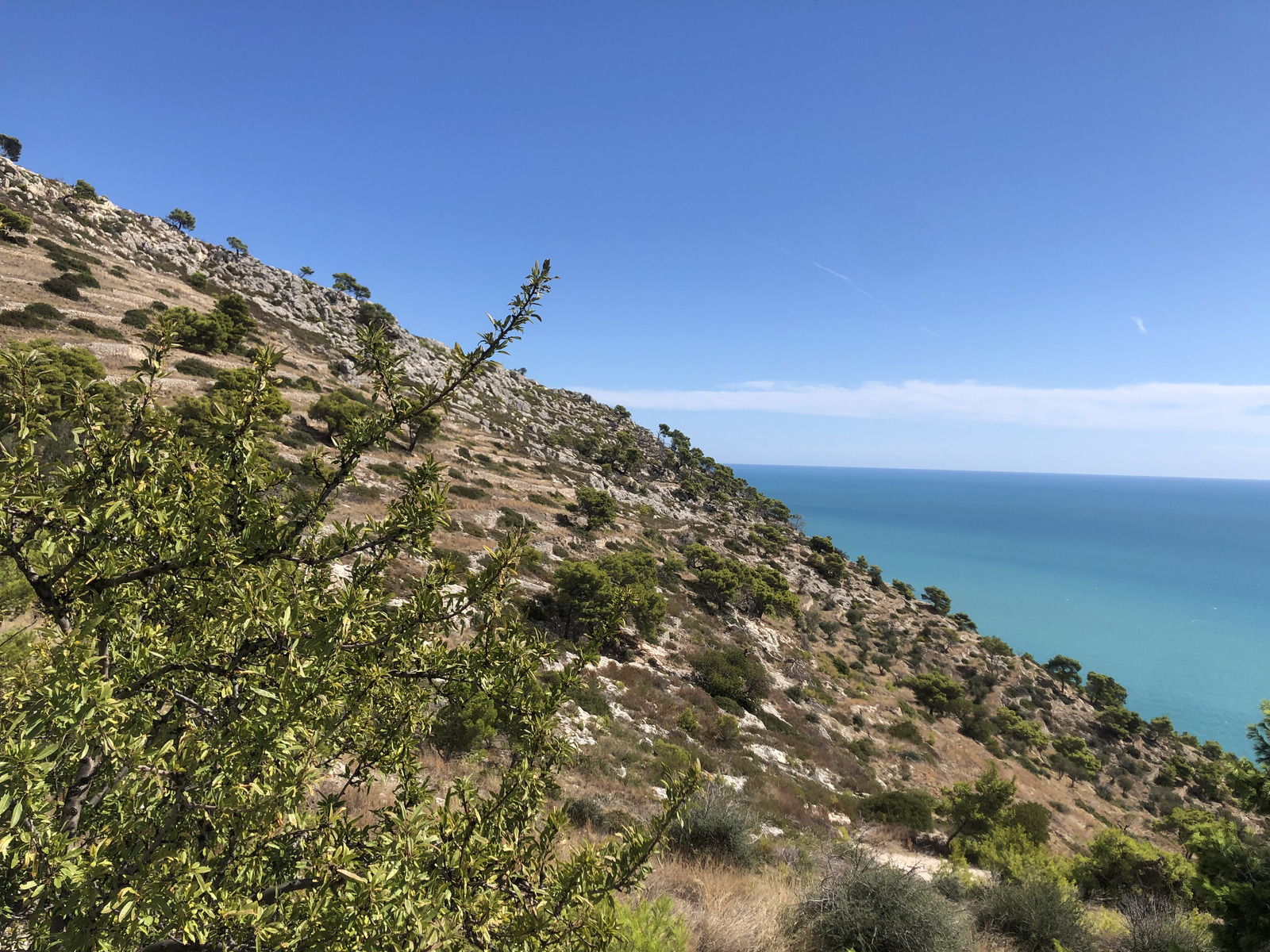 Picture Italy Gargano 2024-09 28 - Travel Gargano