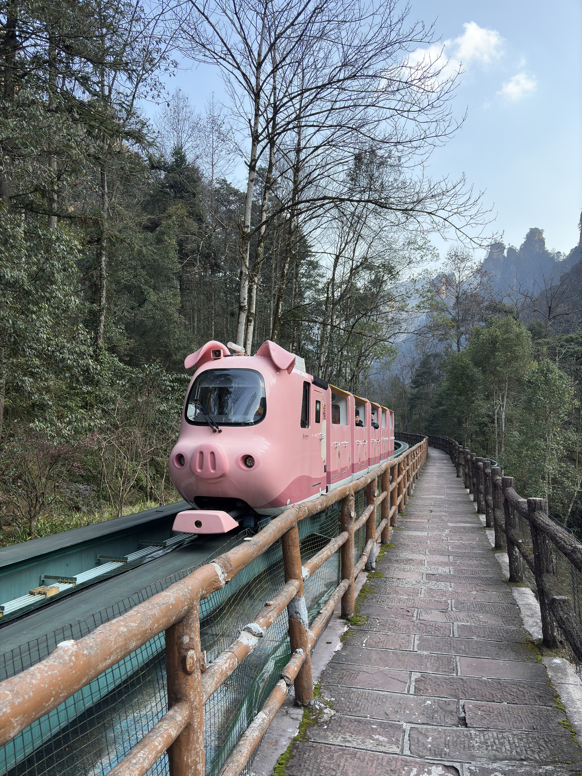 Picture China Zhangjiajie Tianzi Mountrain 2026-01 108 - Trips Tianzi Mountrain