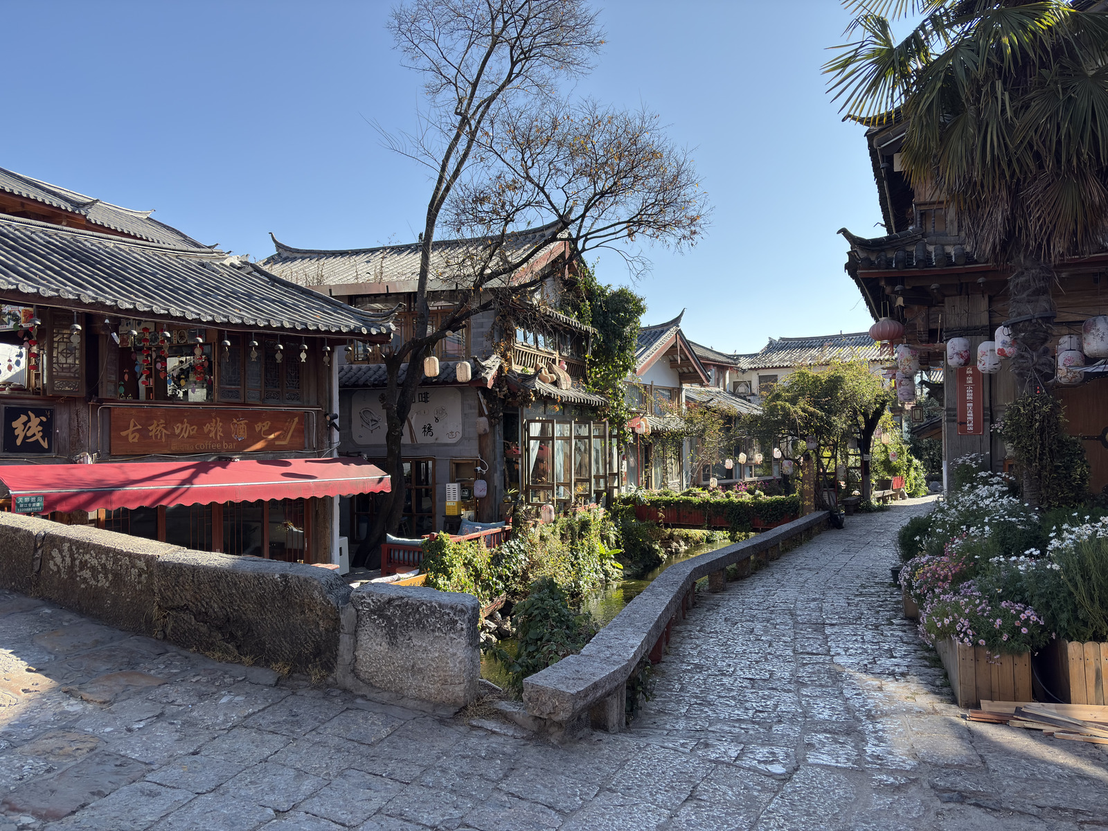 Picture China Lijiang 2026-01 260 - Photos Lijiang