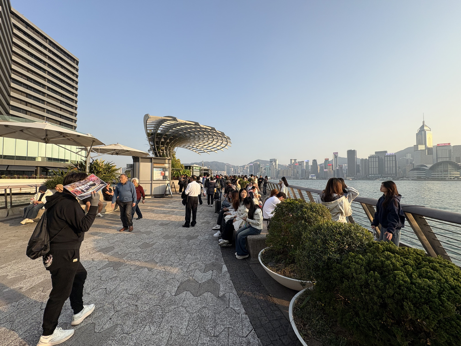 Picture Hong-Kong Tsim Sha Tsui 2026-01 50 - Photographer Tsim Sha Tsui