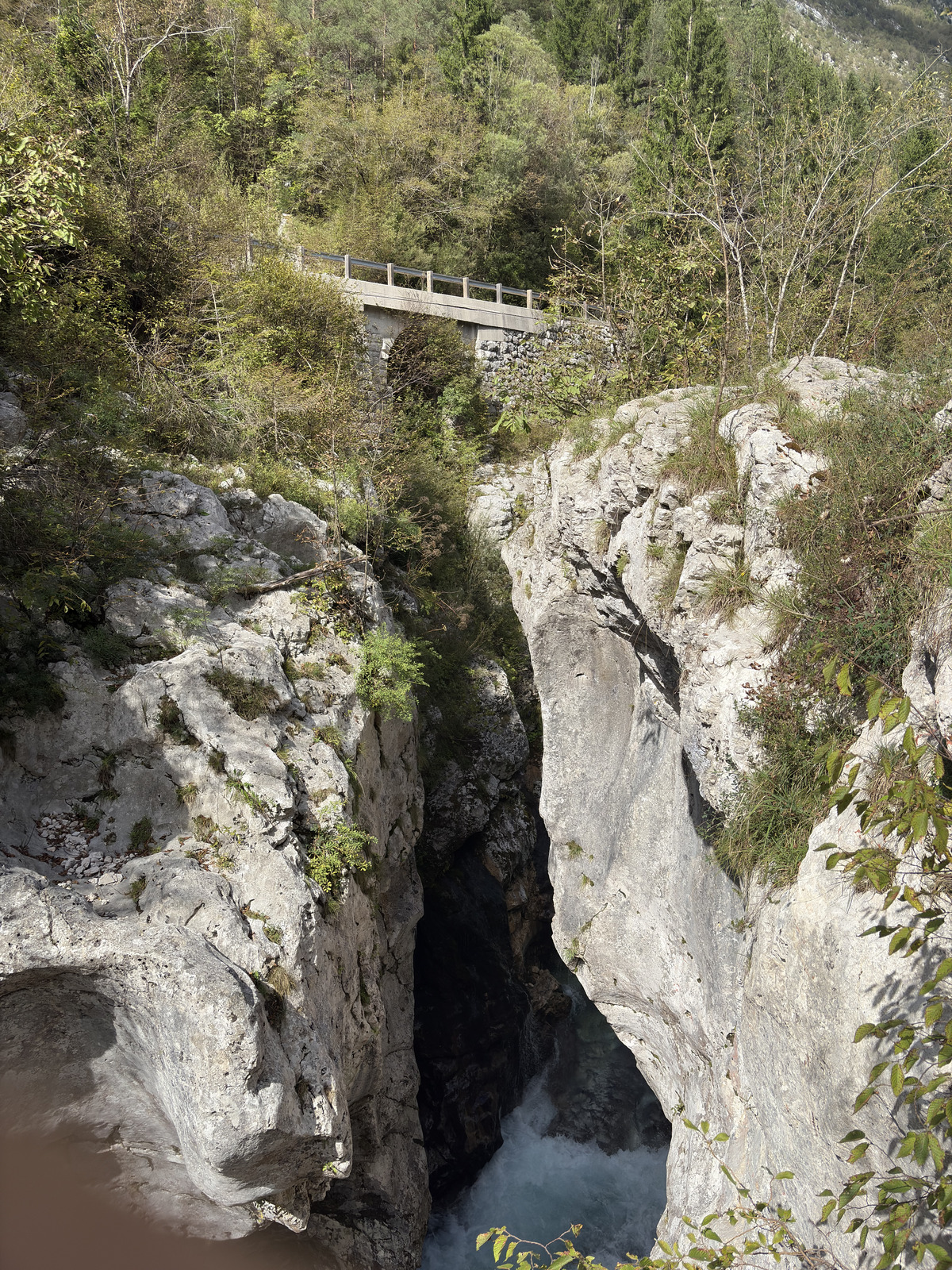 Picture Slovenia Soca River 2025-09 145 - Views Soca River