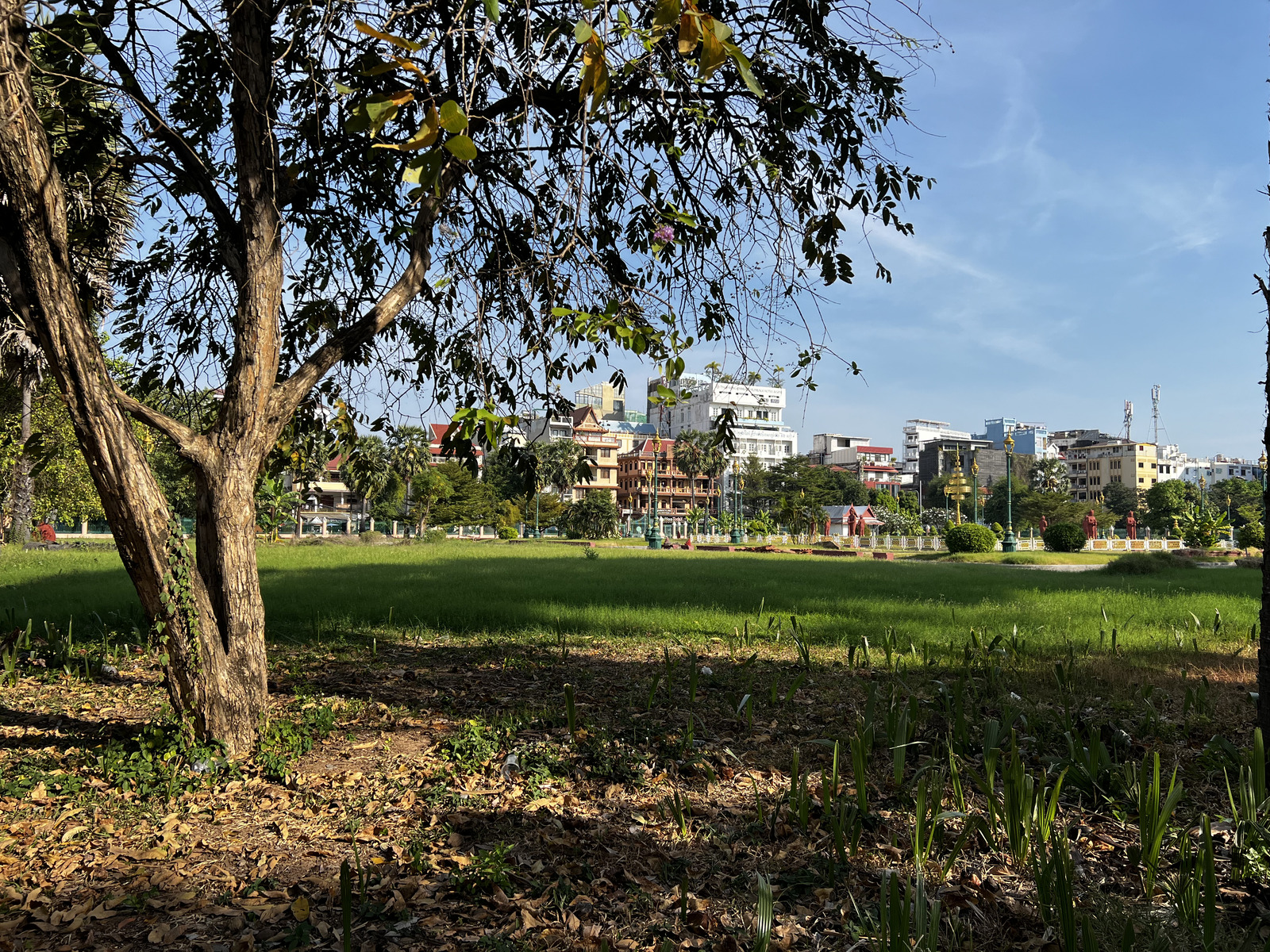 Picture Cambodia Phnom Penh 2024-01 75 - Photographer Phnom Penh